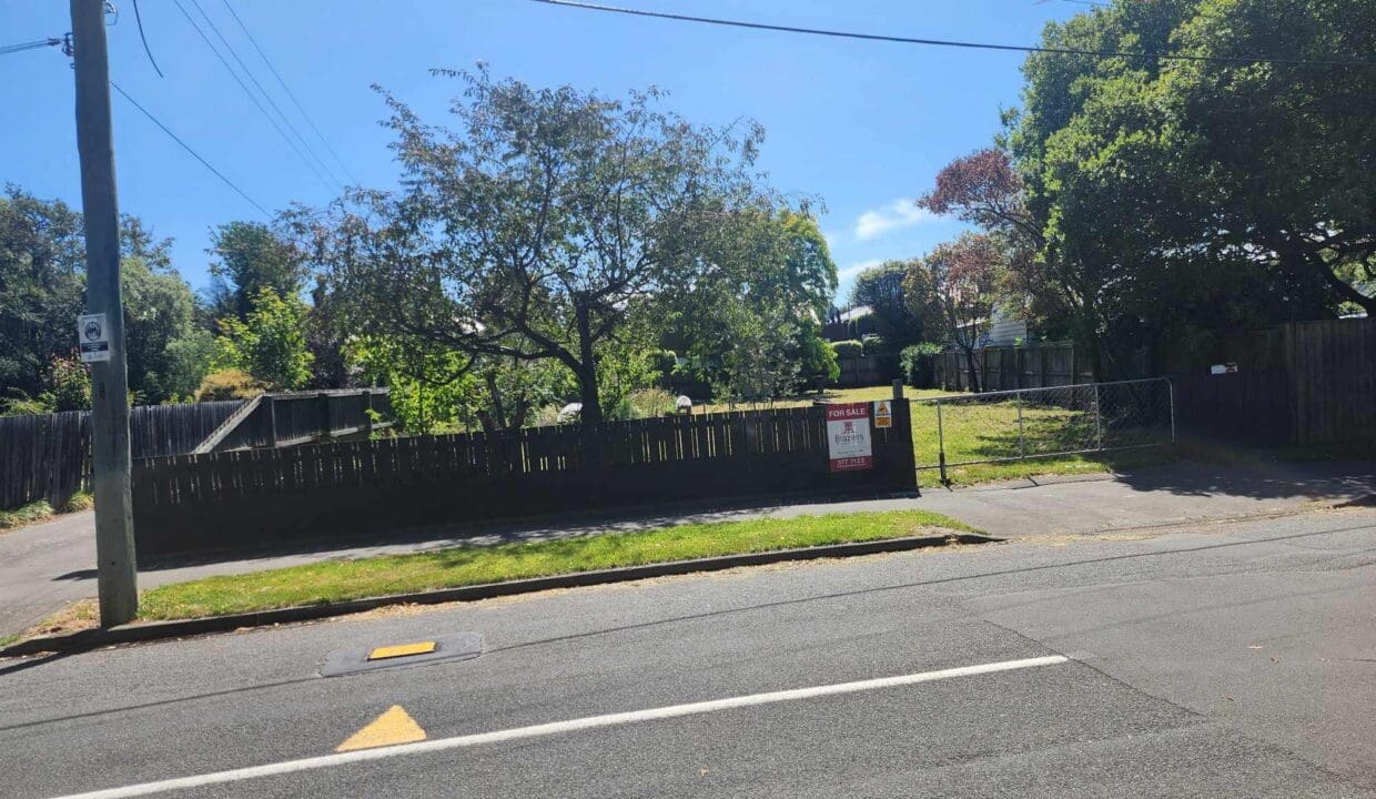 134300745__1739230956-134300745__1738708343-125883-47484393113744686173065587561510290806314480n