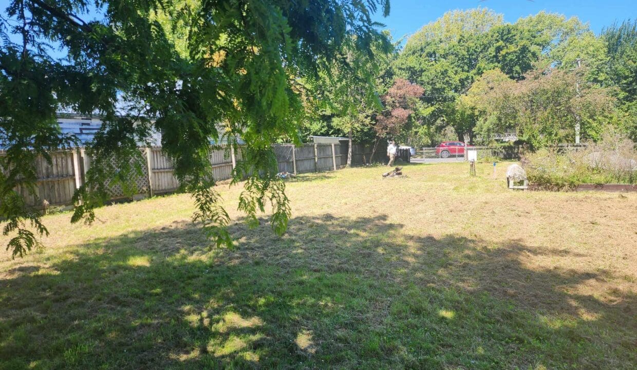 134300815__1739230956-134300815__1738708346-125963-47550816090083405892351181219451908288257669n