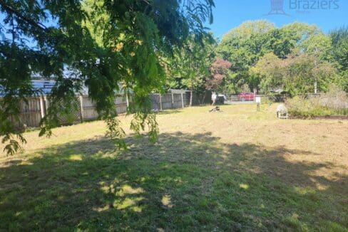 134300815__1739230956-134300815__1738708346-125963-47550816090083405892351181219451908288257669n