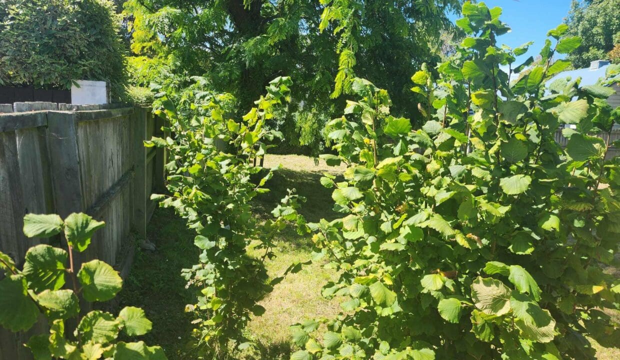 134300818__1739230956-134300818__1738708348-125936-47273581315335676073297736848145874692942694n