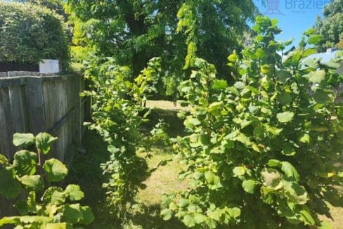 134300818__1739230956-134300818__1738708348-125936-47273581315335676073297736848145874692942694n