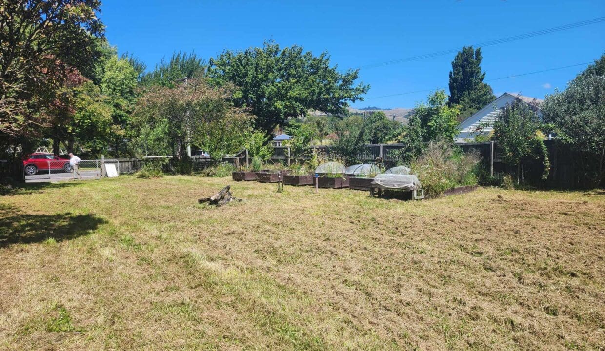 134300822__1739230956-134300822__1738708349-125852-47570582511393306044458497190628643407890202n