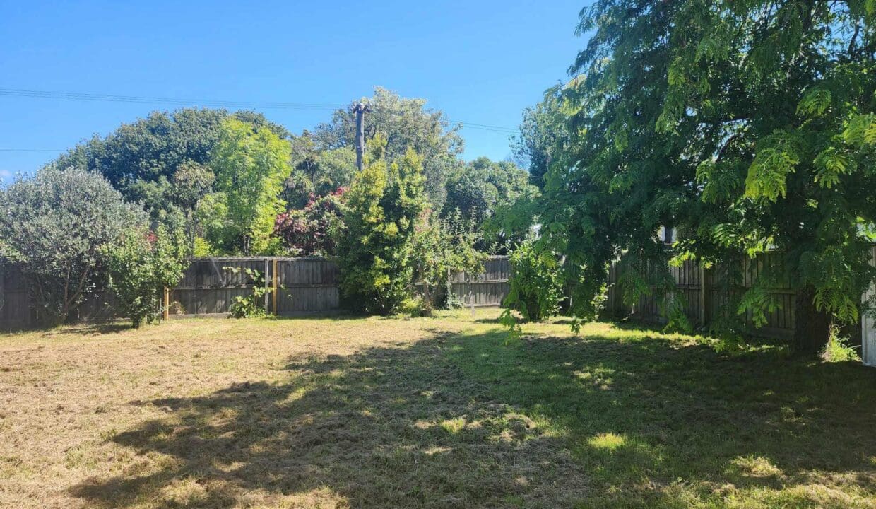 134300836__1739230956-134300836__1738708352-113686-47568735011511684665144548490547696712128684n