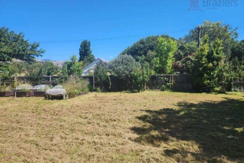 134300885__1739230956-134300885__1738708354-113695-4748670564972712630382945831268356535265066n