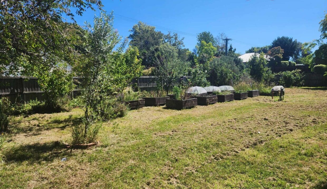 134300926__1739230957-134300926__1738708364-125976-47577189216699951506107068622326193923480129n