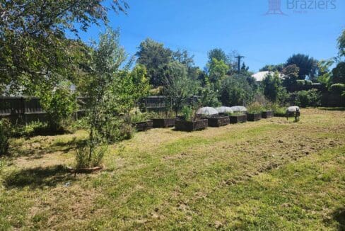 134300926__1739230957-134300926__1738708364-125976-47577189216699951506107068622326193923480129n