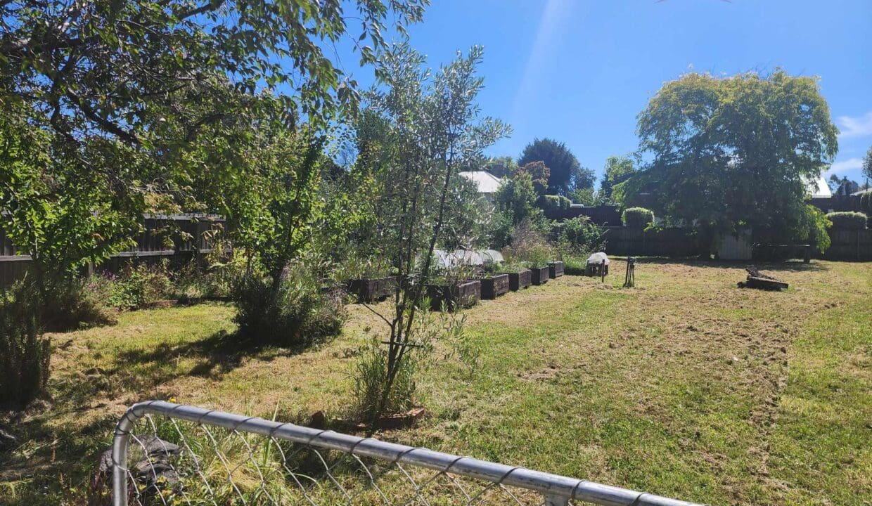 134300927__1739230957-134300927__1738708366-126010-47498732812532827591031708080360424335980626n