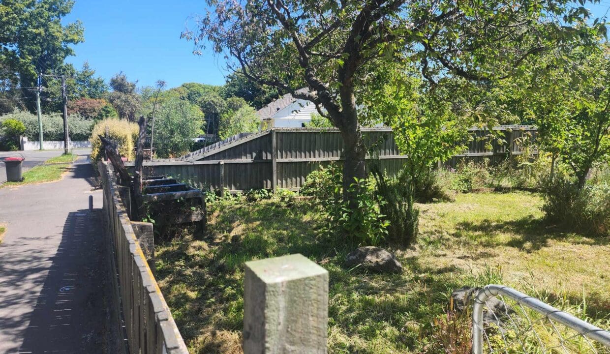 134300950__1739230957-134300950__1738708367-125598-47572867816588774213708107935701520652122207n