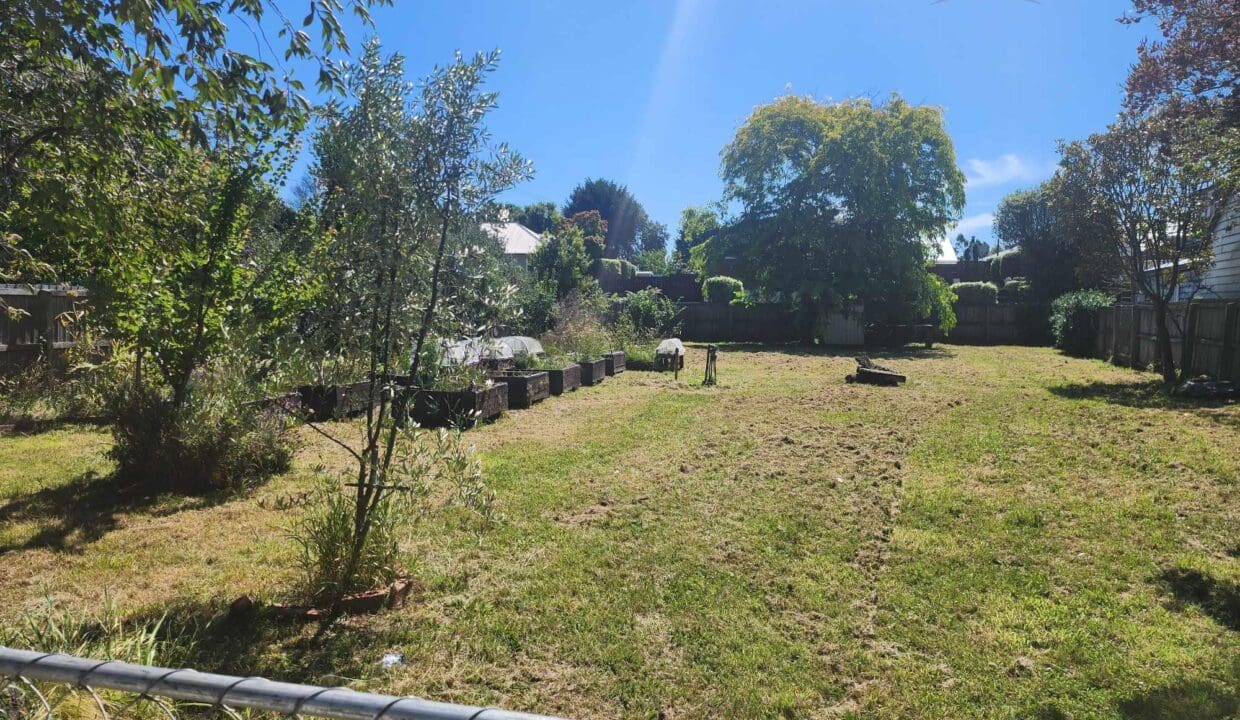 134300981__1739230956-134300981__1738708369-125908-4749560166260779736946073269217044312802754n