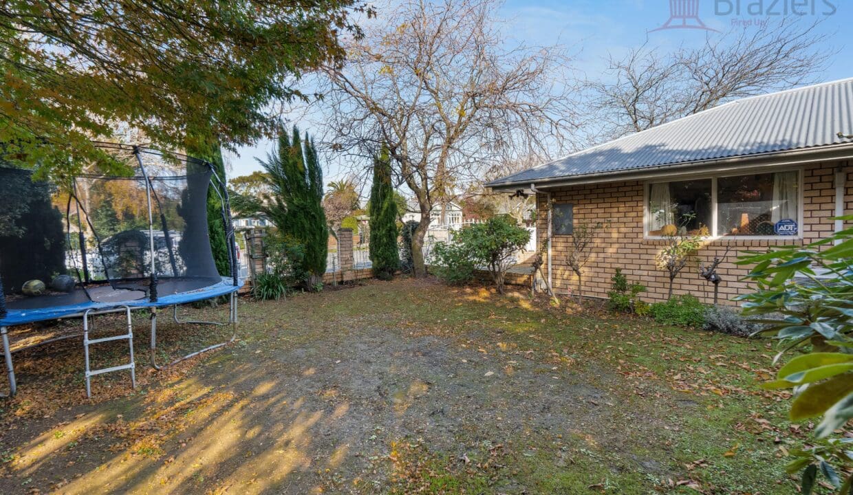 148678983__1747870917-148678983__1747807141-85782-DSC02524