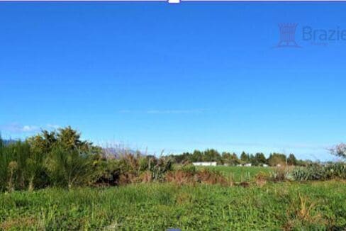 169880096__1761606165-169880096__1761606144-37727-Orowaiti2