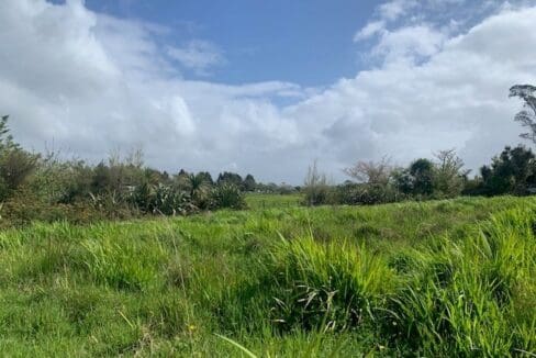 172136424__1762116676-18447-Lot7Pic3OrowaitiRoad