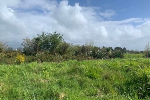 172136425__1762116678-18411-Lot7Pic2OrowaitiRoad