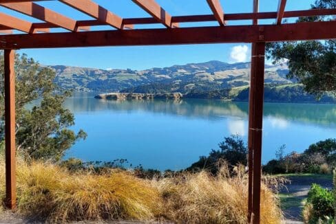 173372774__1762382706-20310-FBIMG1758136400555