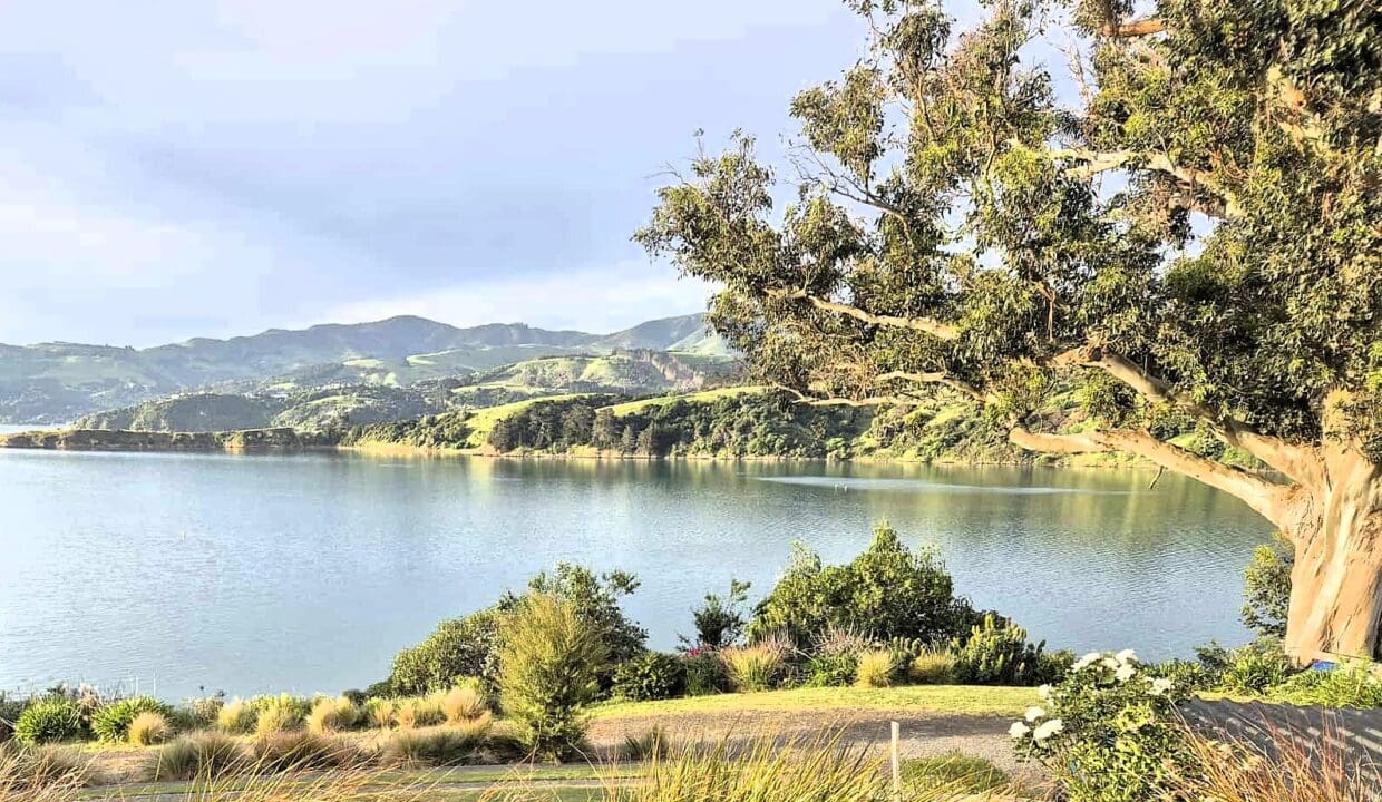 173926983__1762734464-52716-att.R30YJPJq47LDbG6F1xNC1lCwKftwrBBjPOMoOoEKxw