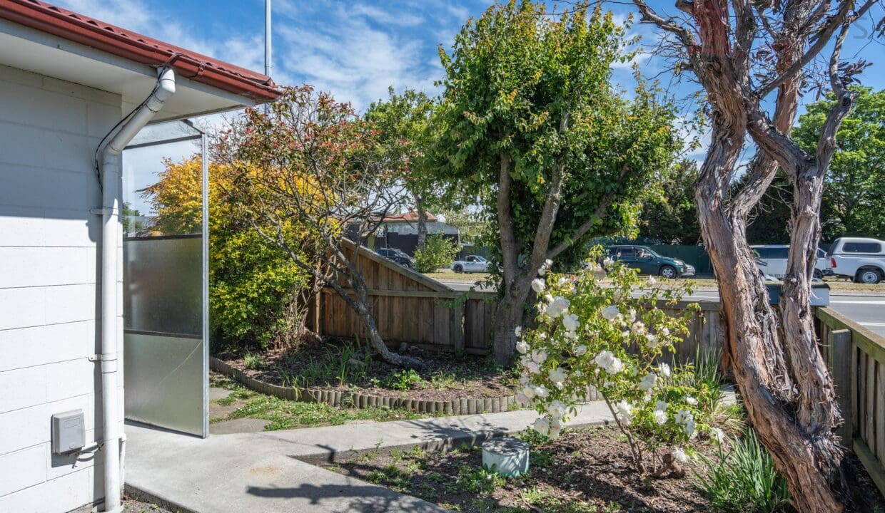 173972066__1762814165-173972066__1762741243-59869-DSC02823