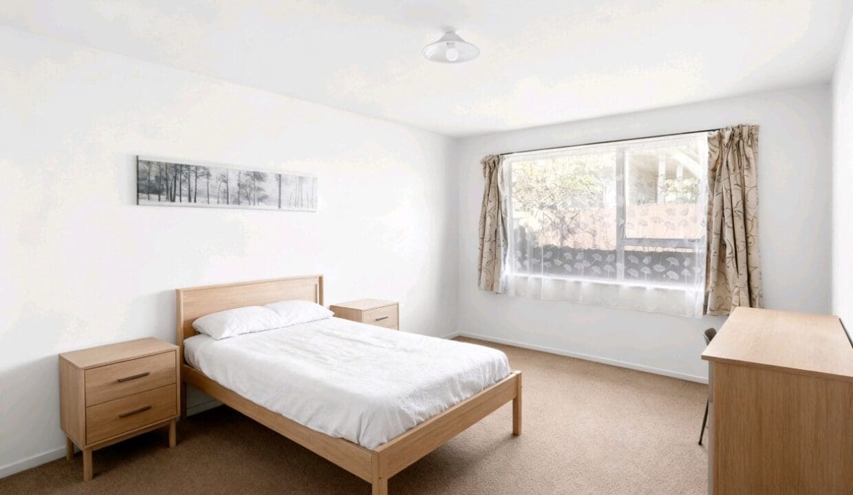 175102406__1763337336-46699-1000039340