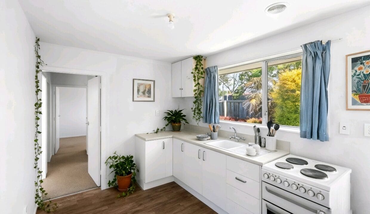 175102447__1763337341-33447-1000039348