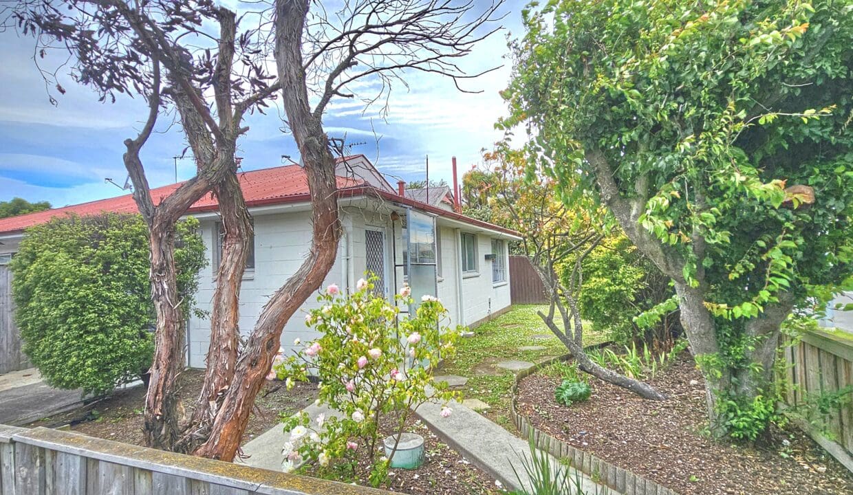 175421596__1763431807-67992-1000039506