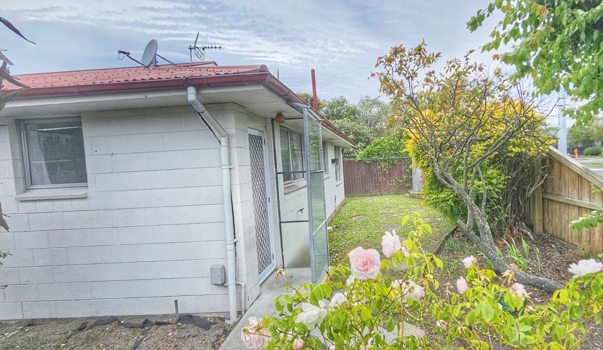 175421605__1763431811-55093-1000039507