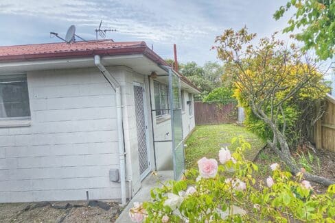 175421605__1763431811-55093-1000039507