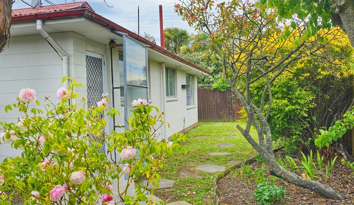 175421612__1763431815-54986-1000039508