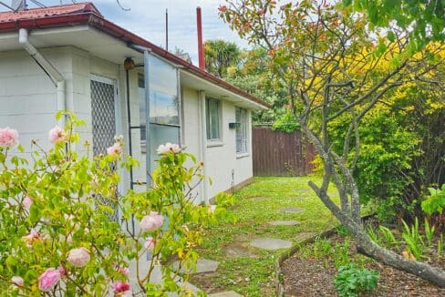 175421612__1763431815-54986-1000039508