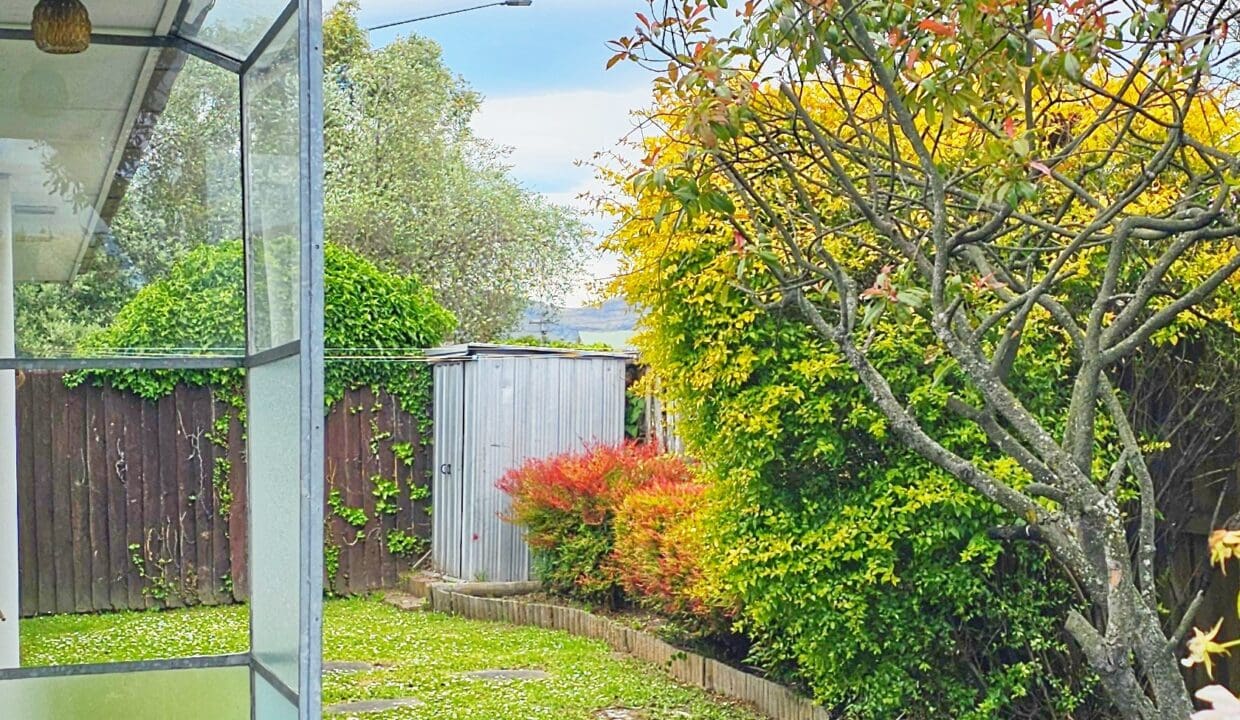 175421637__1763431818-55170-1000039509