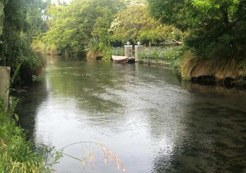 180581032__1766021113-42470-8CliffordAveStreamPic