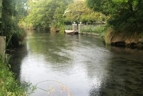 180581032__1766021113-42470-8CliffordAveStreamPic