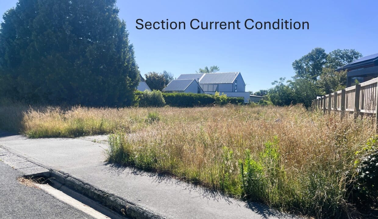 181073805__1766444474-20079-8CliffordAveSectionOvergrownstreetviewTextOverlay