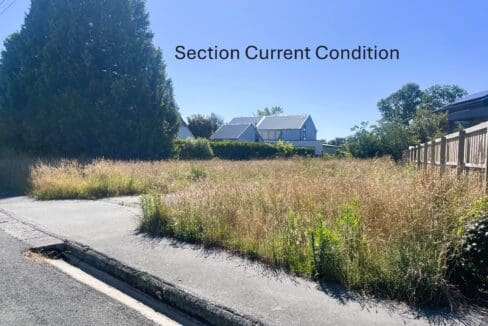 181073805__1766444474-20079-8CliffordAveSectionOvergrownstreetviewTextOverlay