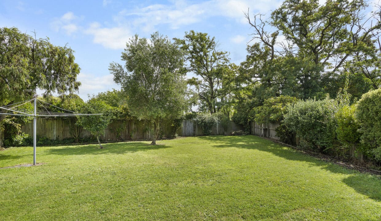 184068872__1769411054-82129-DSC09789