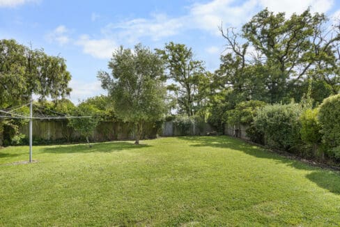 184068872__1769411054-82129-DSC09789