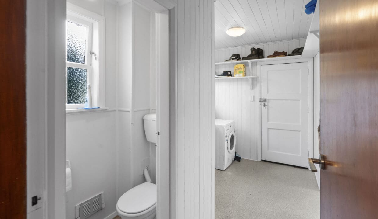 184068878__1769411081-82352-DSC097811