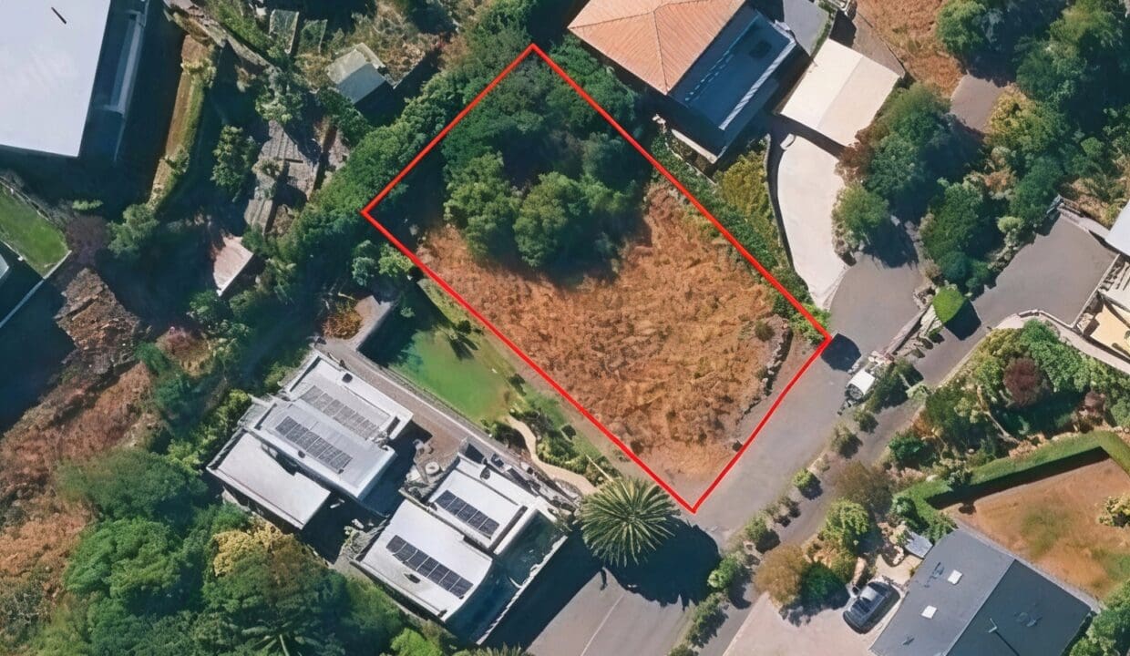 190105611__1772580093-38926-Image20260304120841