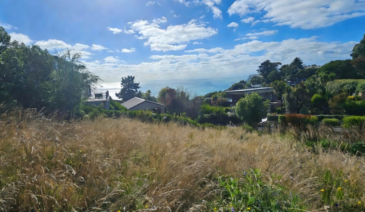 190105852__1772580101-39040-Image20260304120924