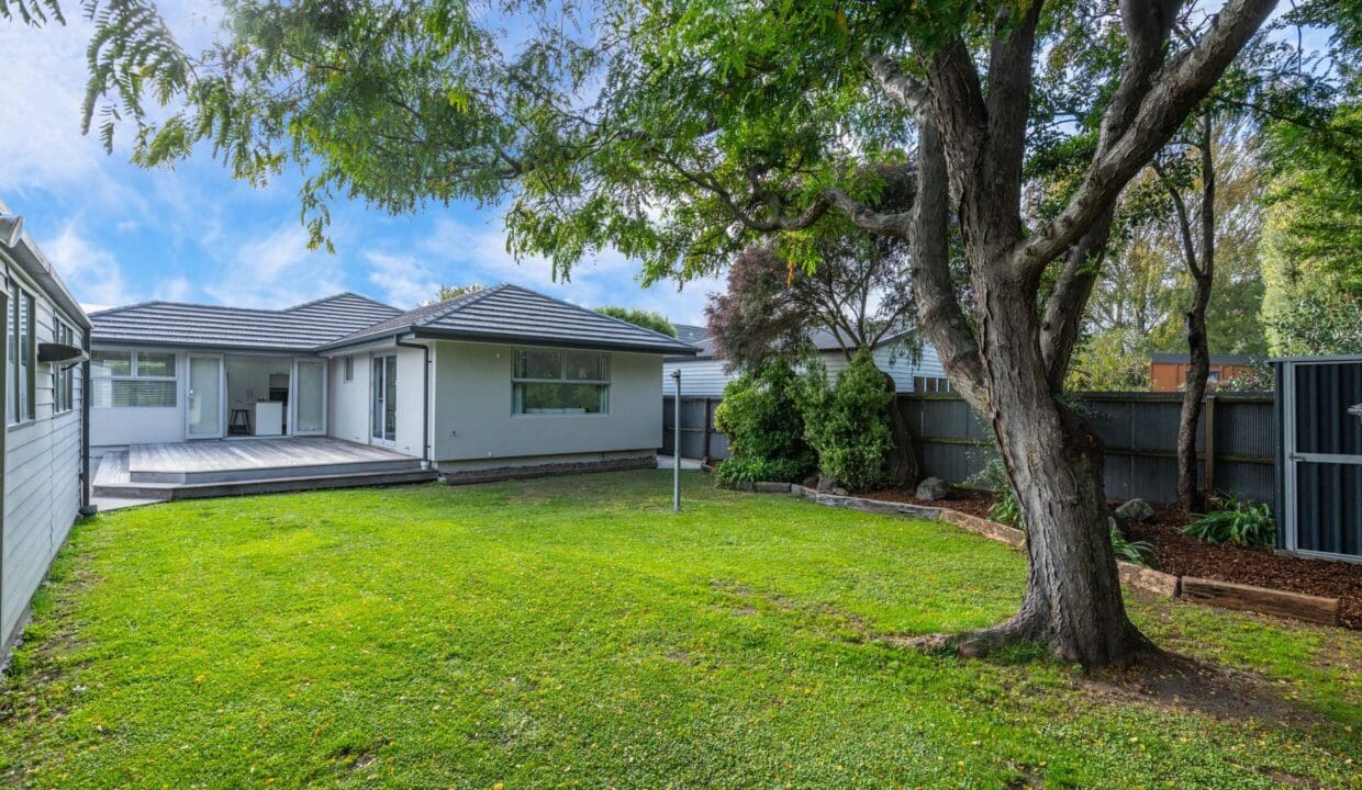 195398648__1775435923-39920-25bed1f9-294a-47dd-95da-32b459ed7d24