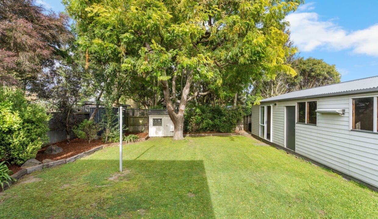 195398685__1775436131-40317-9fdac104-8d18-4483-be8d-b1e8d656a742