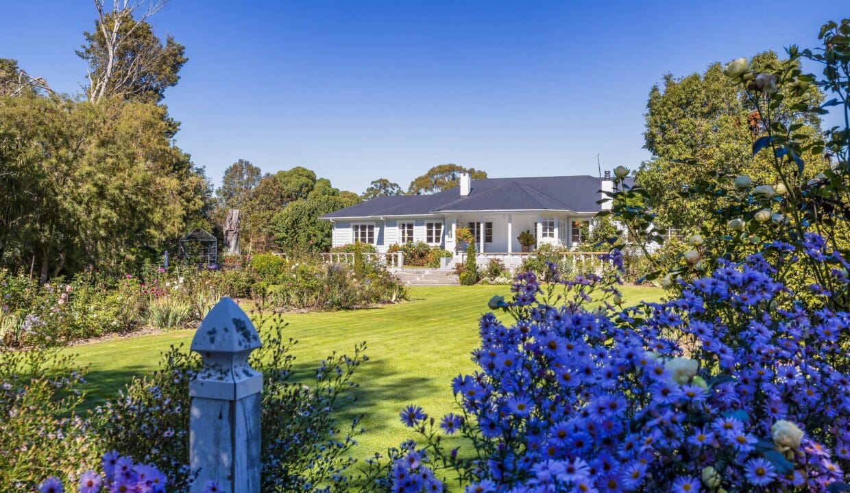 195495723__1775517421-36613-3d7b44ca-fd8b-4299-bd21-ea613dfb90e8