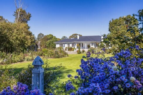 195495723__1775517421-36613-3d7b44ca-fd8b-4299-bd21-ea613dfb90e8