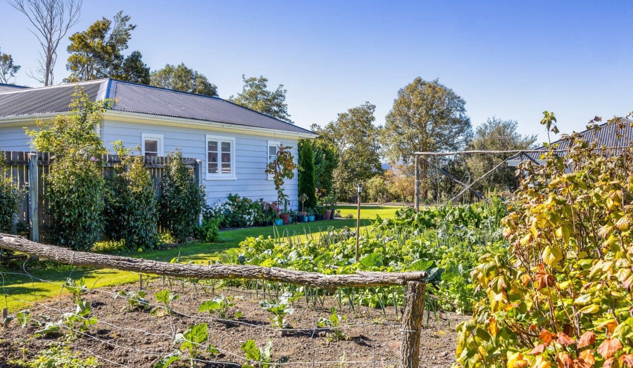 195495806__1775517425-36540-bcf08c5a-8c46-4845-8ca6-57fda94fa4e5