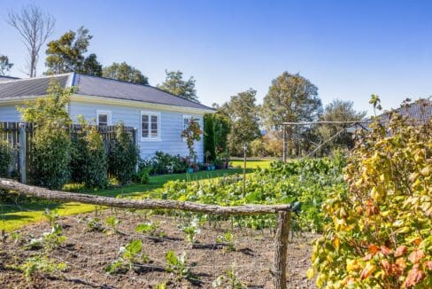 195495806__1775517425-36540-bcf08c5a-8c46-4845-8ca6-57fda94fa4e5