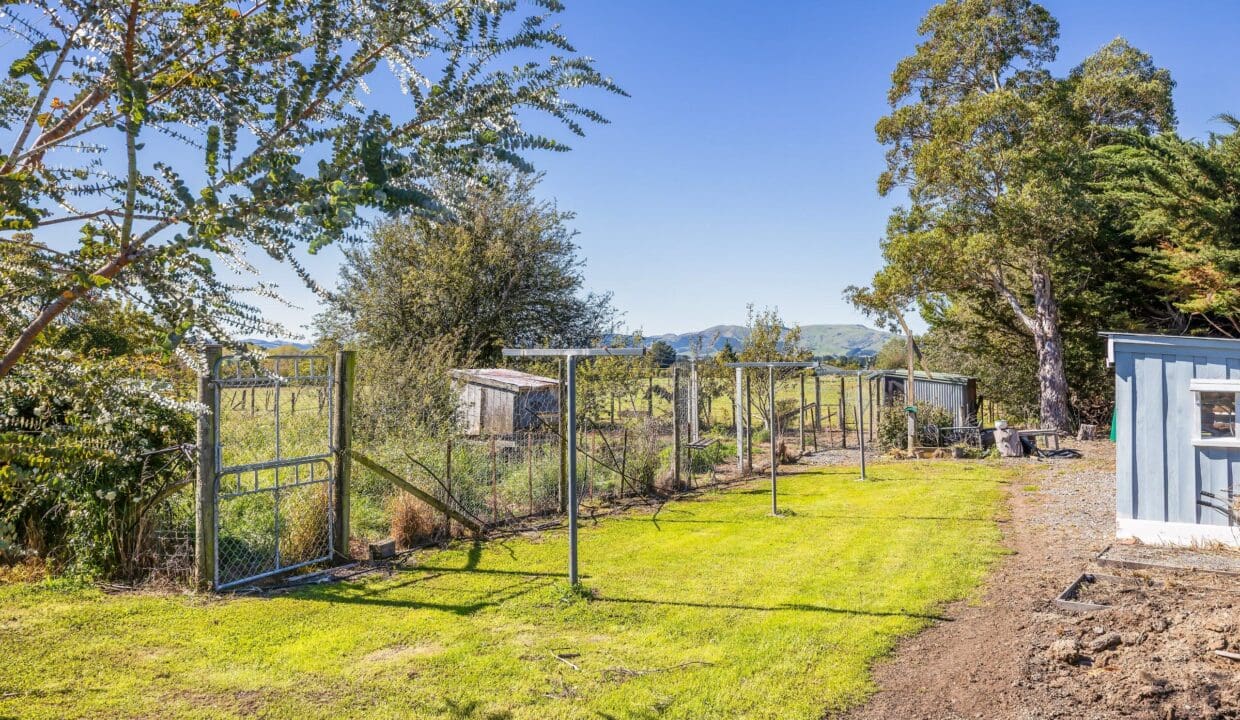 195495845__1775517431-36605-a50a9f15-87b0-4361-bab0-22cc9ef6fb9b