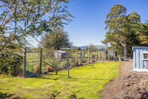 195495845__1775517431-36605-a50a9f15-87b0-4361-bab0-22cc9ef6fb9b