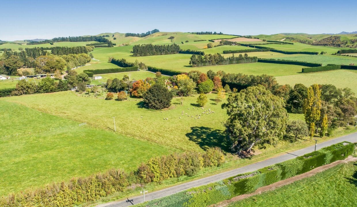 195495917__1775517447-24500-0abd658d-c6f9-4235-8c4b-8bfebbf94fb1