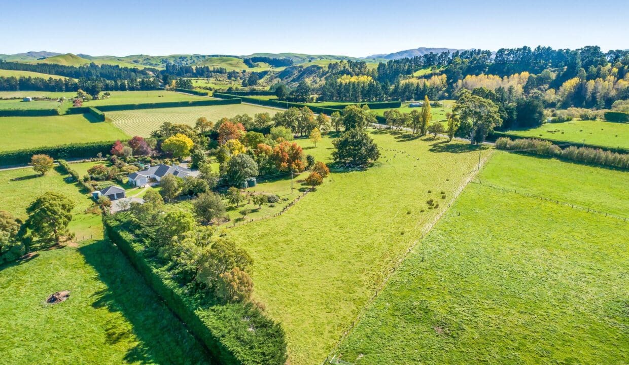 195495947__1775517450-24463-32aaae3c-ffb6-40c5-8e9d-c51894e76859