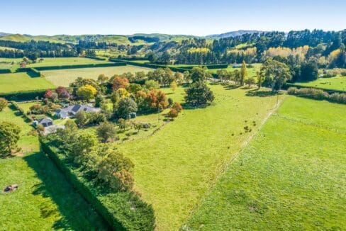 195495947__1775517450-24463-32aaae3c-ffb6-40c5-8e9d-c51894e76859