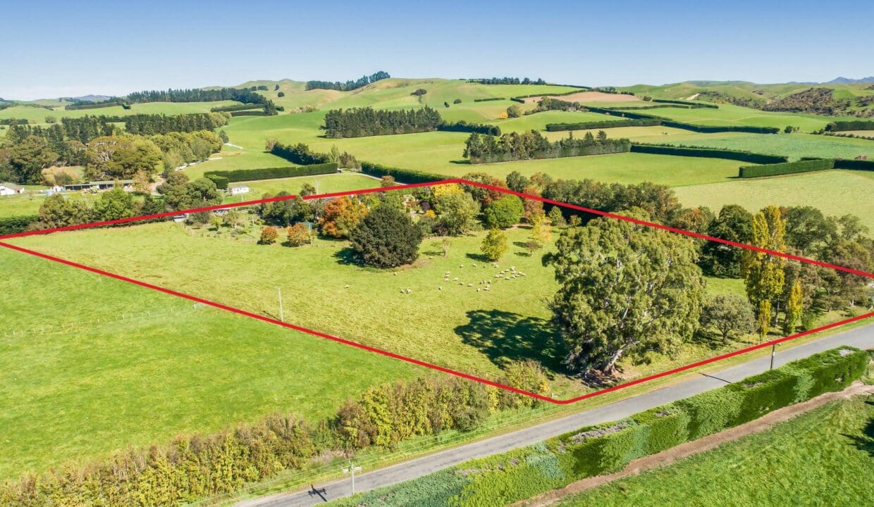 195496082__1775517466-24537-0ad06bc3-ddcd-4e1f-a2fe-f9ac4a02a9ac