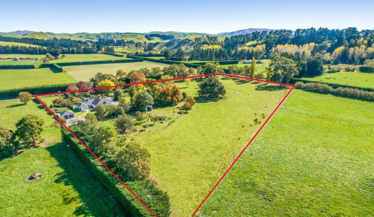 195496113__1775517471-24455-a935cddf-45dc-4cf8-baa9-4af5afbe9950